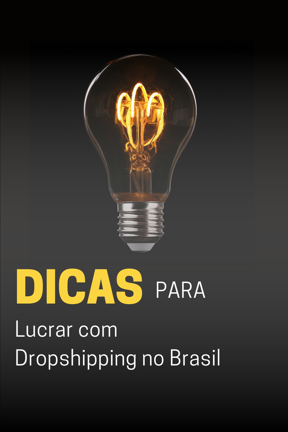 Dicas para Lucrar com Dropshipping no Brasil